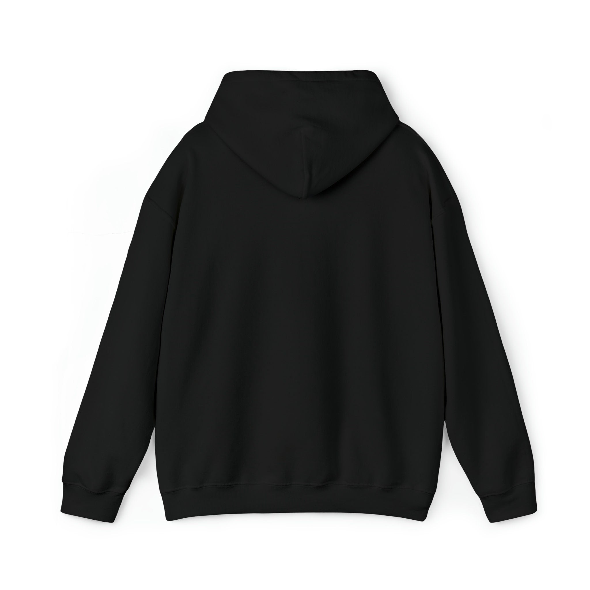 Back side of hoodie (plain)